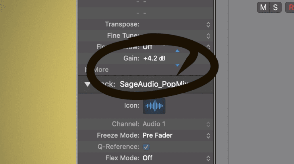 Clip gain can be used to increase the level of the track right before peaking.