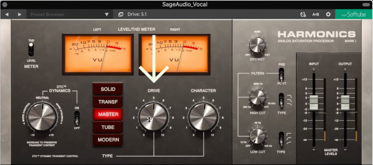 A mild amount of distortion can make a vocal sound full and present.